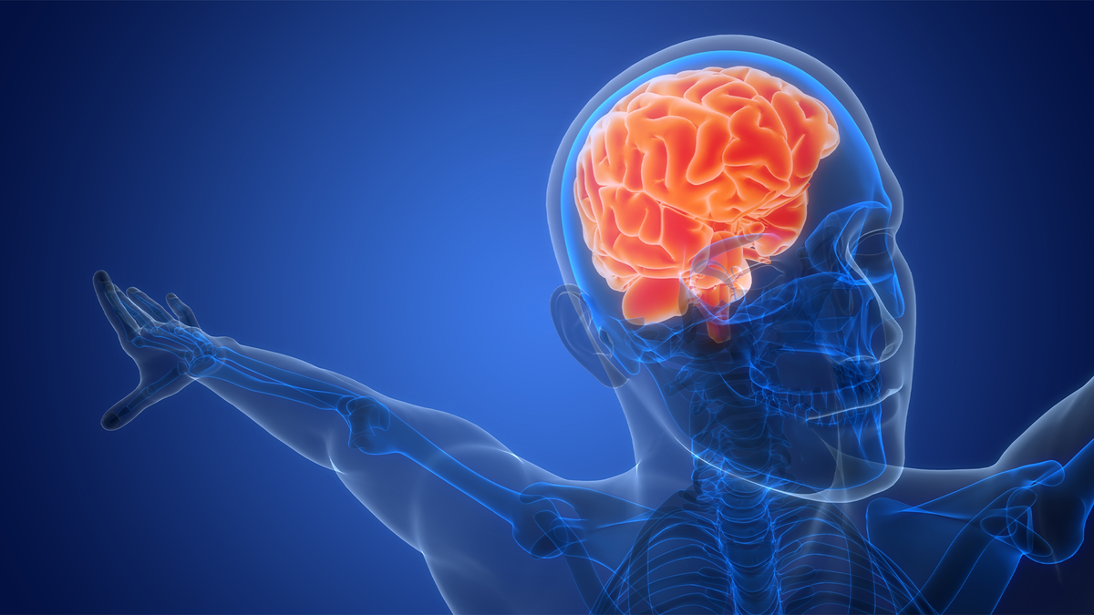 Energie celulară la nivel cerebral